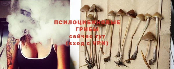 молекула духа Елизово
