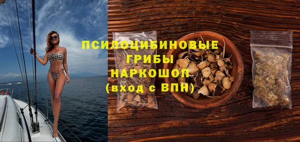 кокс Ельня