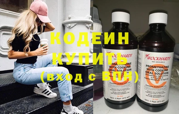молекула духа Елизово