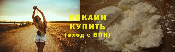 амф Дмитровск