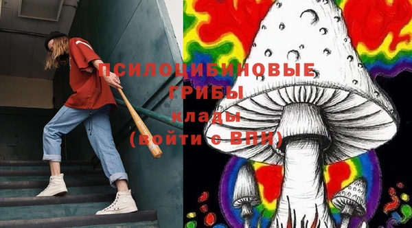 молекула духа Елизово