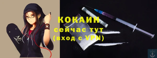 кокс Ельня
