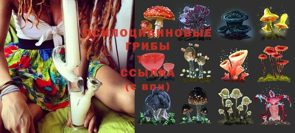 прущая мука Елабуга