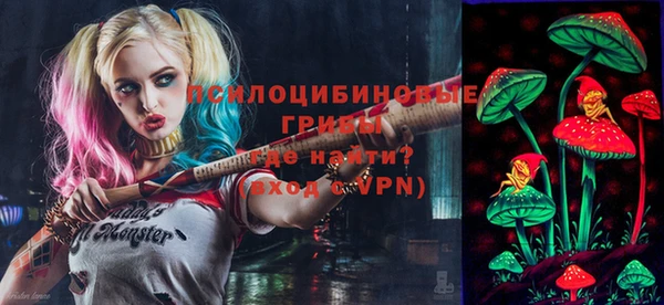 молекула духа Елизово