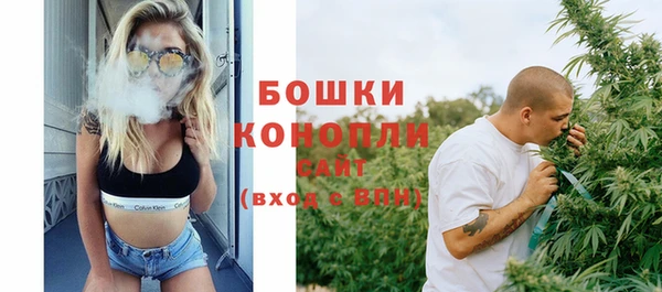 кокс Ельня