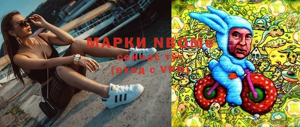 молекула духа Елизово